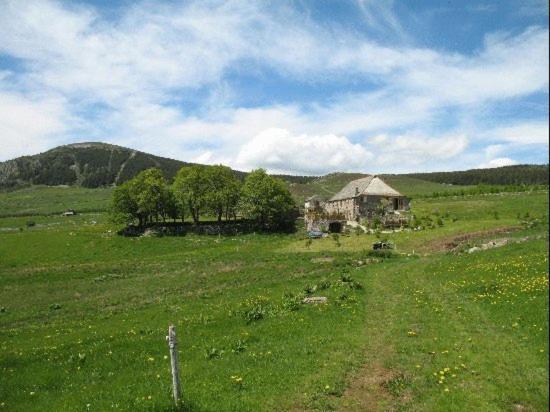 Le Francillon Bed & Breakfast Лес Естабл Екстериор снимка