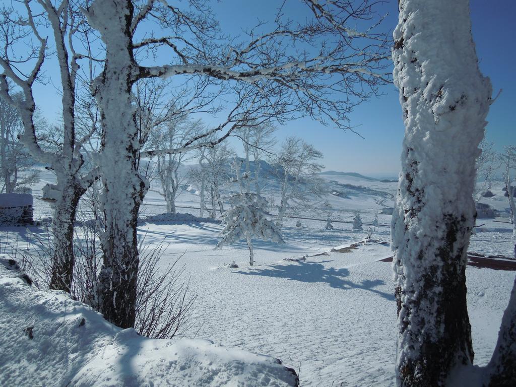 Le Francillon Bed & Breakfast Лес Естабл Екстериор снимка